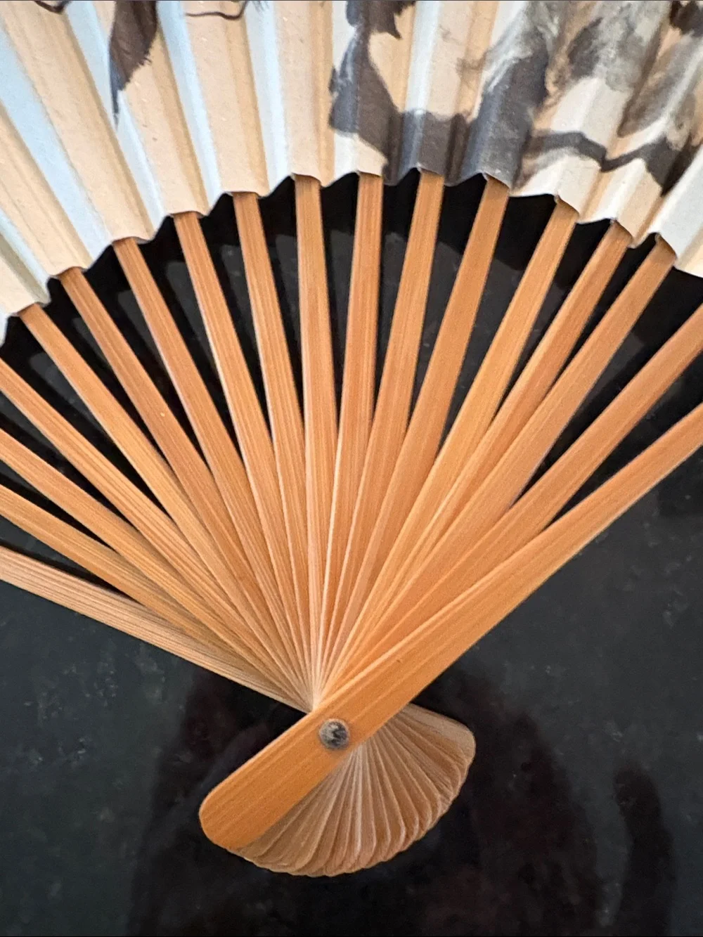 Decorative Folding Fan Wall Art - Cream and Black